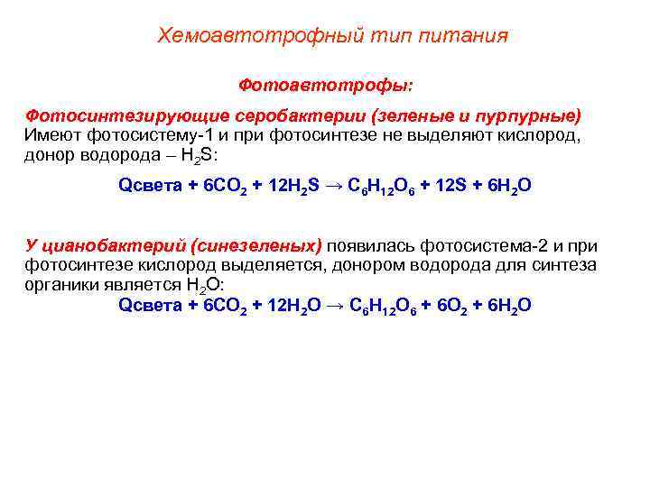 Хемоавтотрофный тип питания Фотоавтотрофы: Фотосинтезирующие серобактерии (зеленые и пурпурные) Имеют фотосистему-1 и при фотосинтезе