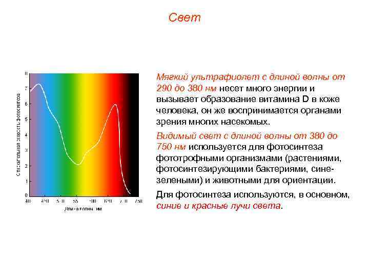 Свет Мягкий ультрафиолет с длиной волны от 290 до 380 нм несет много энергии