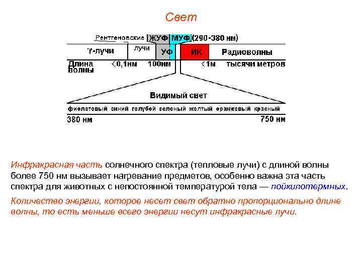 Свет Инфракрасная часть солнечного спектра (тепловые лучи) с длиной волны более 750 нм вызывает