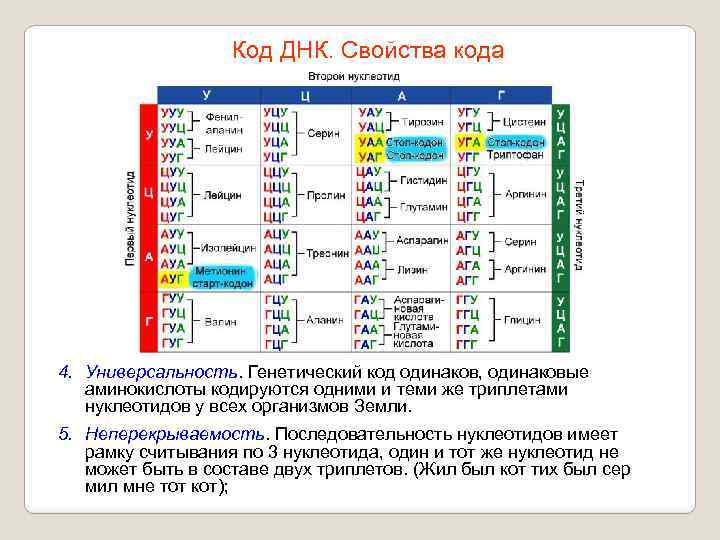 Код ДНК. Свойства кода 4. Универсальность. Генетический код одинаков, одинаковые аминокислоты кодируются одними и