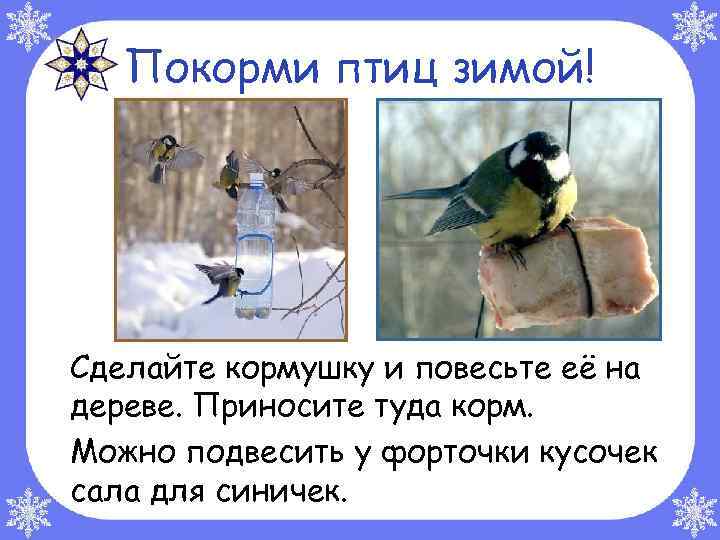 Покорми птиц зимой! Сделайте кормушку и повесьте её на дереве. Приносите туда корм. Можно