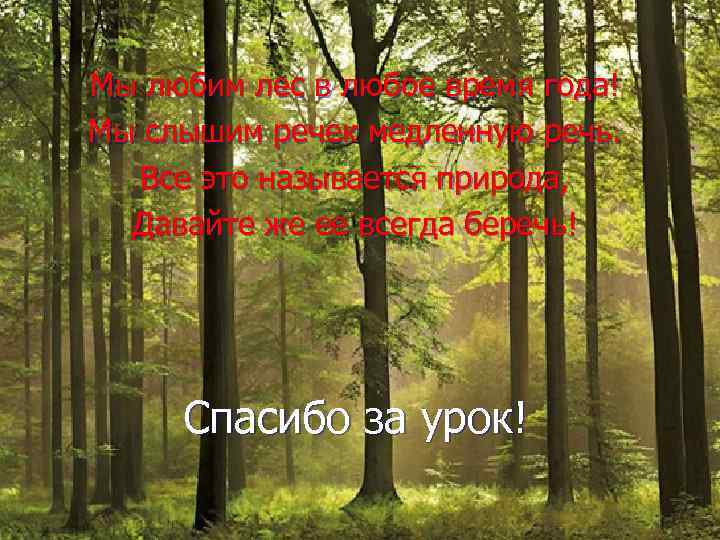 Мы любим лес в любое время года! Мы слышим речек медленную речь. Все это