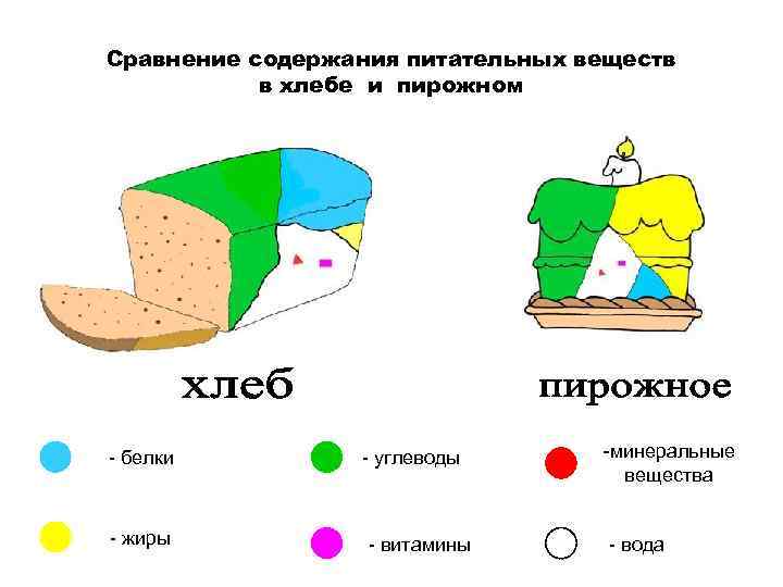 Сравнение содержания питательных веществ в хлебе и пирожном - белки - жиры - углеводы