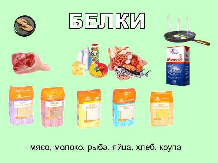 - мясо, молоко, рыба, яйца, хлеб, крупа 