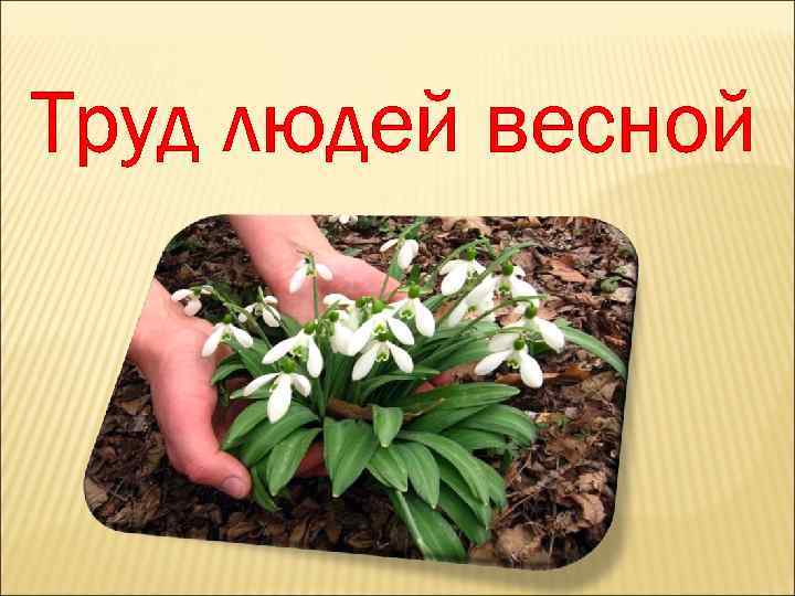 Труд людей весной 