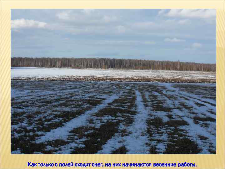 Как только с полей сходит снег, на них начинаются весенние работы. 