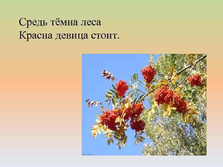 Средь тёмна леса Красна девица стоит. 