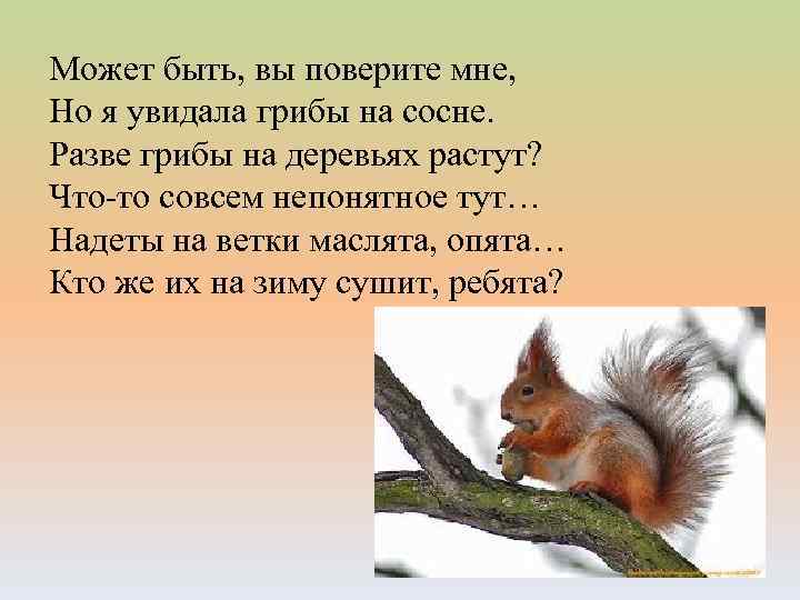 Может быть, вы поверите мне, Но я увидала грибы на сосне. Разве грибы на