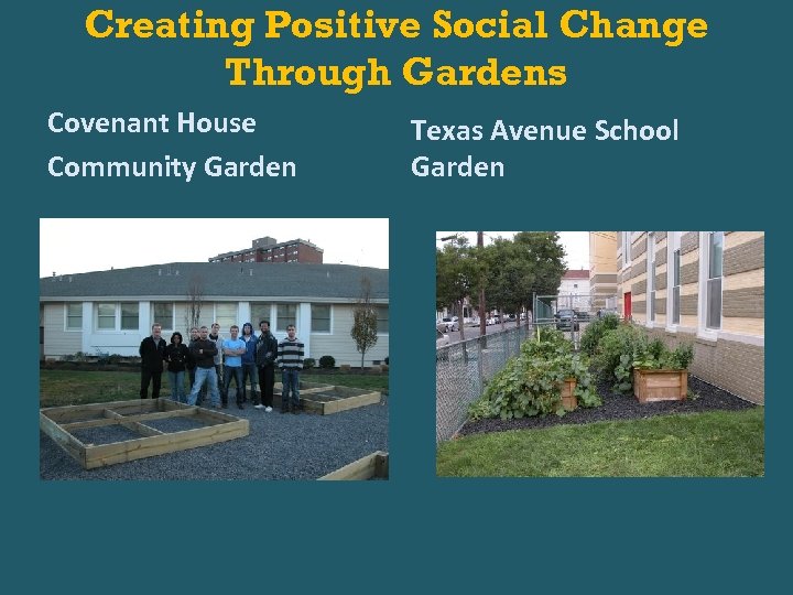 Creating Positive Social Change Through Gardens Covenant House Community Garden Texas Avenue School Garden