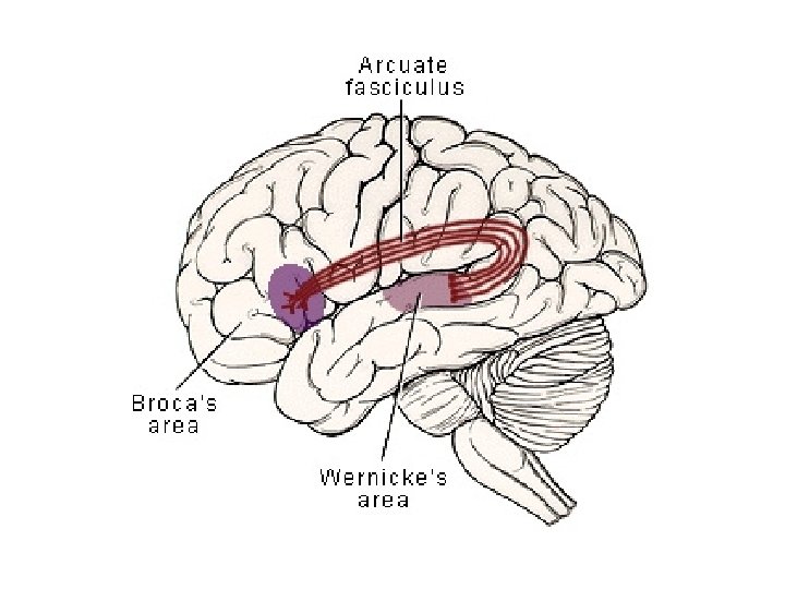3/15/2018 War Related Illness & Injury Study Center (WRIISC) 40 