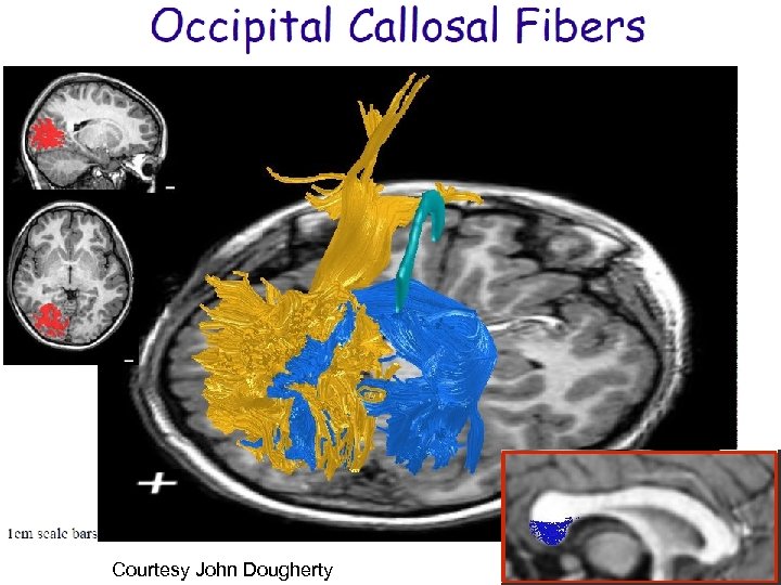 Courtesy John Dougherty 