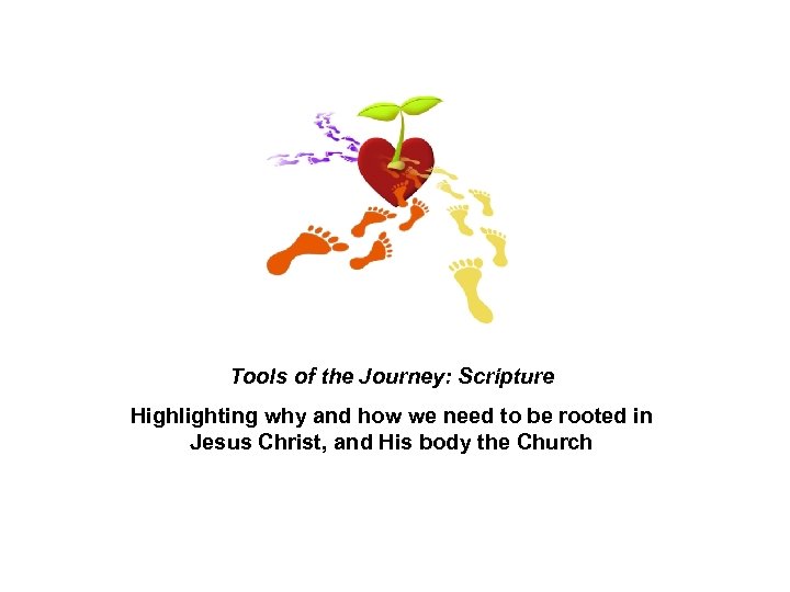 Tools of the Journey: Scripture Highlighting why and how we need to be rooted