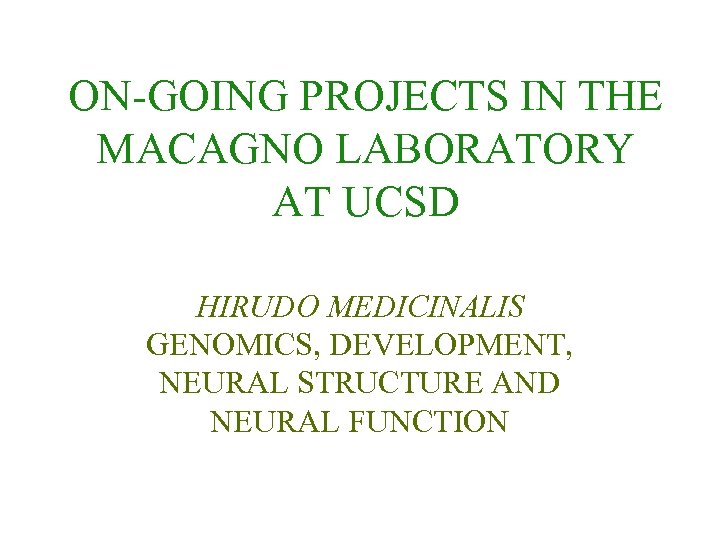 ON-GOING PROJECTS IN THE MACAGNO LABORATORY AT UCSD HIRUDO MEDICINALIS GENOMICS, DEVELOPMENT, NEURAL STRUCTURE