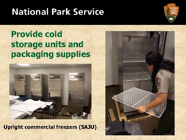 Provide cold storage units and packaging supplies Upright commercial freezers (SAJU) 