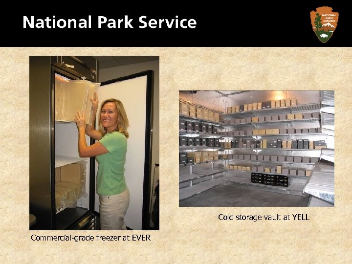 Cold storage vault at YELL Commercial-grade freezer at EVER 