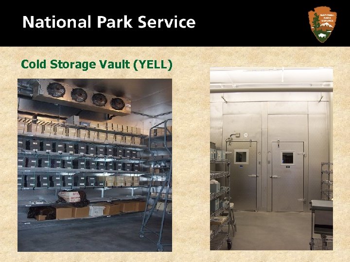 Cold Storage Vault (YELL) 