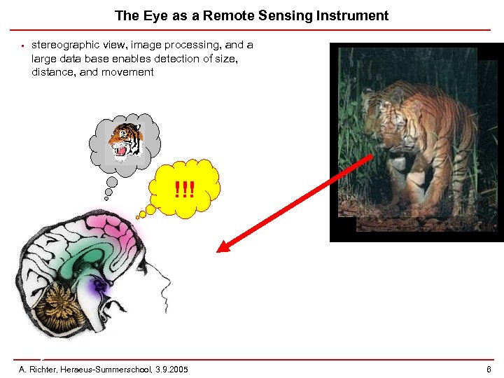 The Eye as a Remote Sensing Instrument • stereographic view, image processing, and a