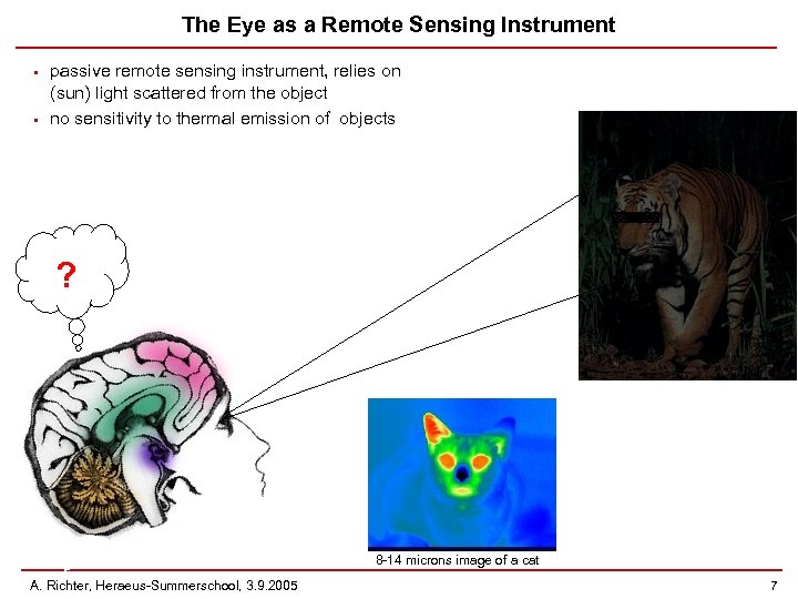 The Eye as a Remote Sensing Instrument • • passive remote sensing instrument, relies