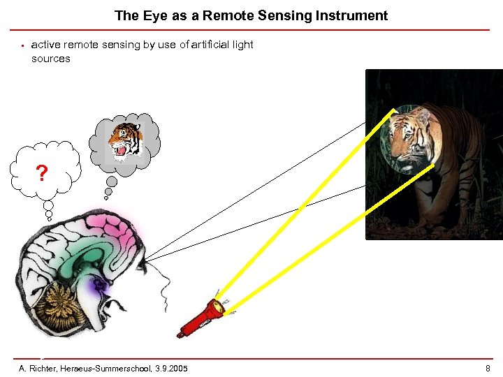 The Eye as a Remote Sensing Instrument • active remote sensing by use of