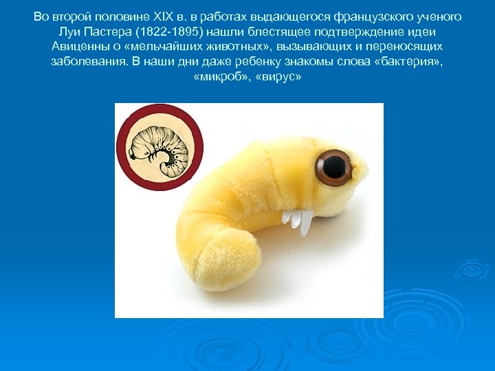 Во второй половине XIX в. в работах выдающегося французского ученого Луи Пастера (1822 -1895)