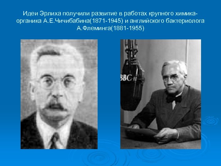 Идеи Эрлиха получили развитие в работах крупного химикаорганика А. Е. Чичибабина(1871 -1945) и английского