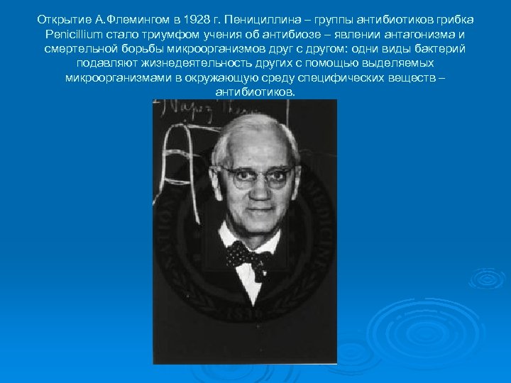 Открытие А. Флемингом в 1928 г. Пенициллина – группы антибиотиков грибка Penicillium стало триумфом