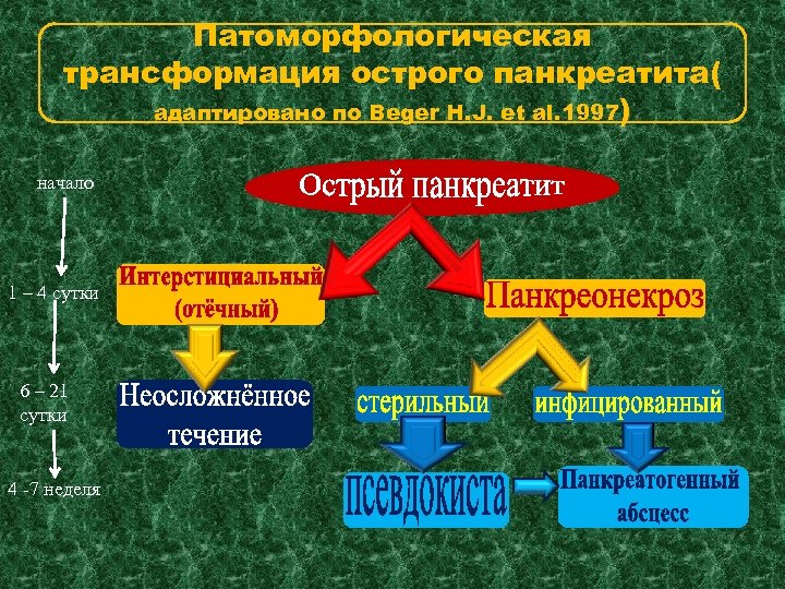 Патоморфологическая трансформация острого панкреатита( адаптировано по Beger H. J. et al. 1997) начало 1