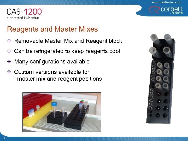 Reagents and Master Mixes Removable Master Mix and Reagent block Can be refrigerated to