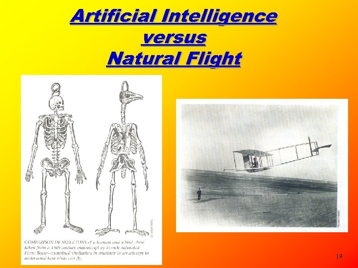 Artificial Intelligence versus Natural Flight 19 
