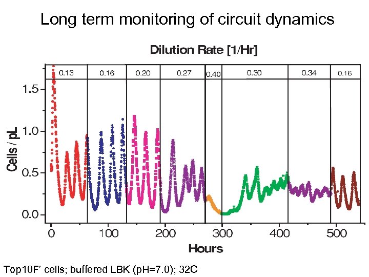 Long term monitoring of circuit dynamics Top 10 F’ cells; buffered LBK (p. H=7.