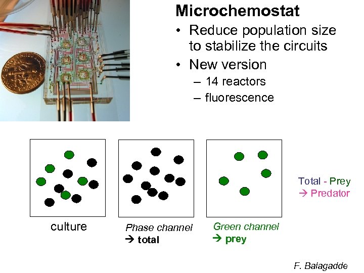 Microchemostat • Reduce population size to stabilize the circuits • New version – 14