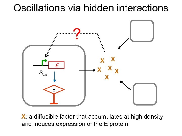 Oscillations via hidden interactions ? E Plux. I X X X E X: a