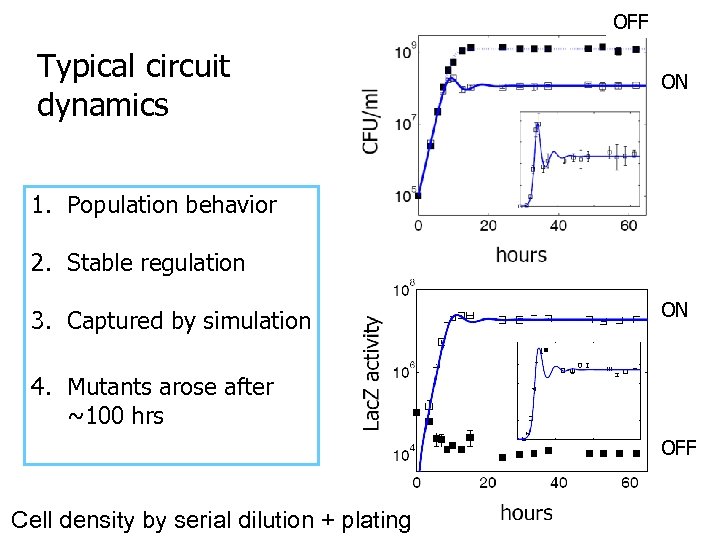 OFF Typical circuit dynamics ON 1. Population behavior 2. Stable regulation 3. Captured by