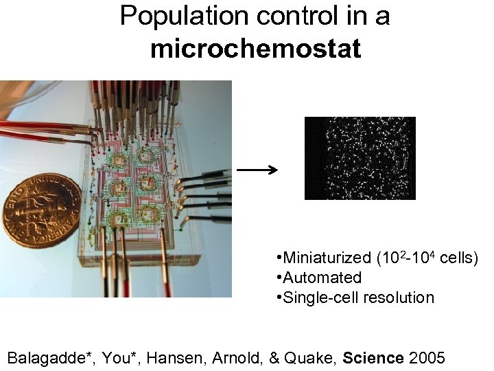Population control in a microchemostat • Miniaturized (102 -104 cells) • Automated • Single-cell