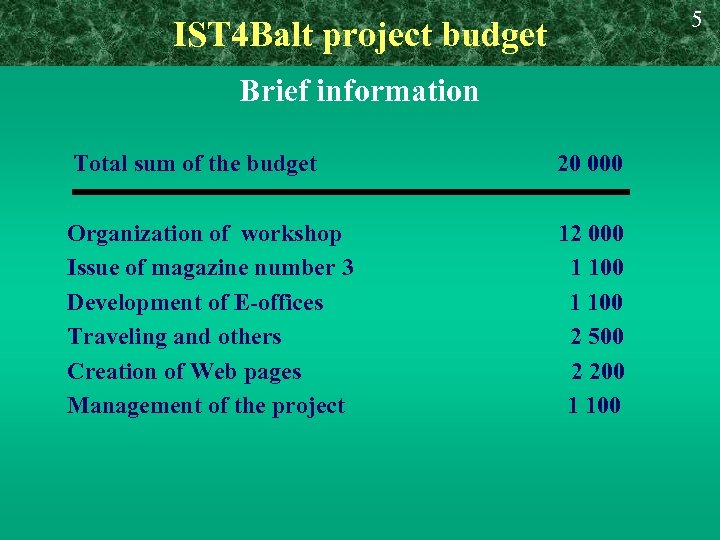 IST 4 Balt project budget Brief information Total sum of the budget 20 000