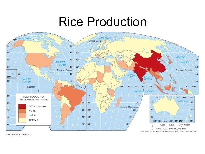 Rice Production 