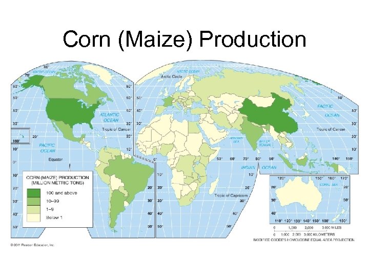 Corn (Maize) Production 