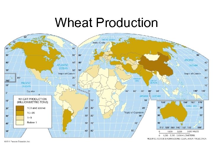 Wheat Production 