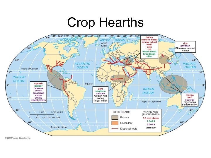 Crop Hearths 