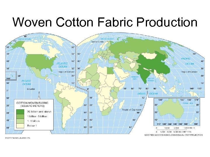 Woven Cotton Fabric Production 