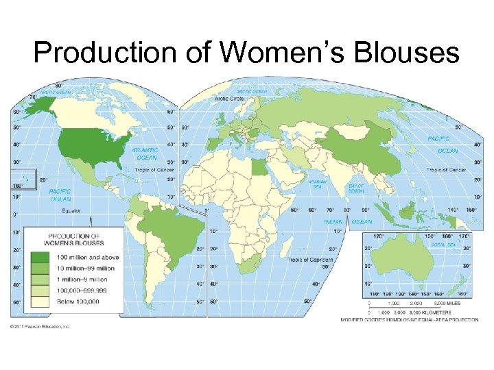 Production of Women’s Blouses 