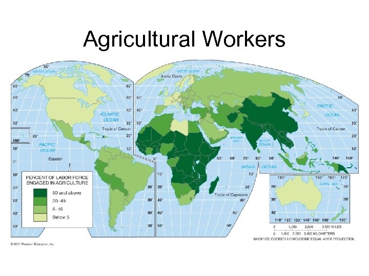 Agricultural Workers 