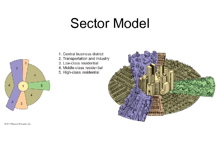 Sector Model 