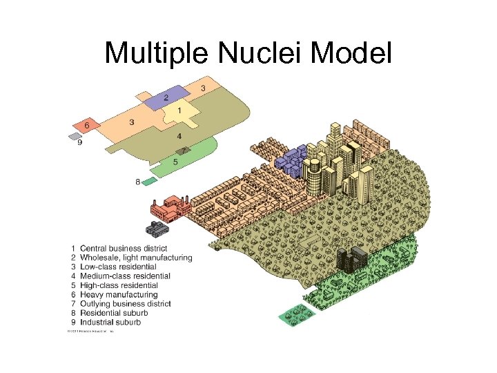 Multiple Nuclei Model 