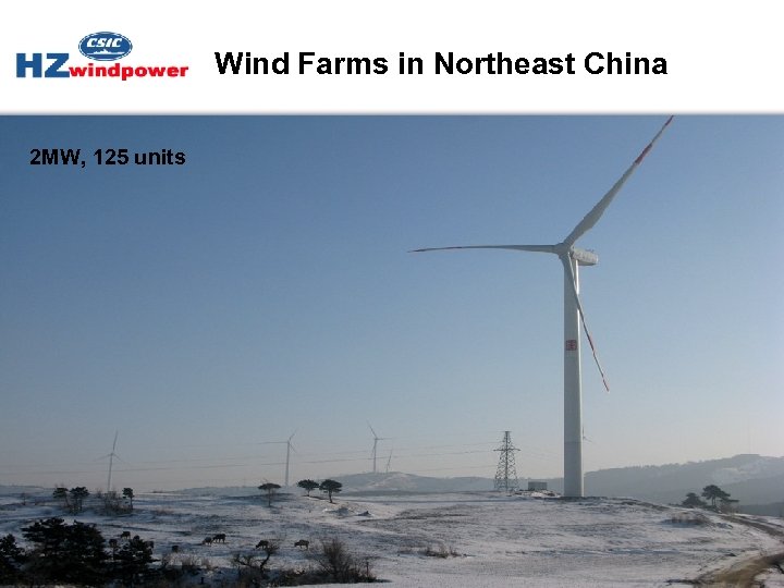 Wind Farms in Northeast China 2 MW, 125 units 