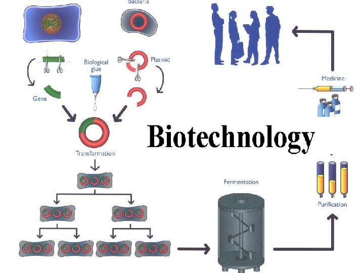 BIOTECHNOLOGY ENGEL & NOVITT, LLP The Law Firm That Knows its Science 6 