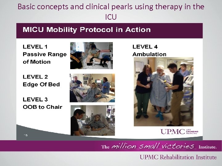 Basic concepts and clinical pearls using therapy in the ICU 