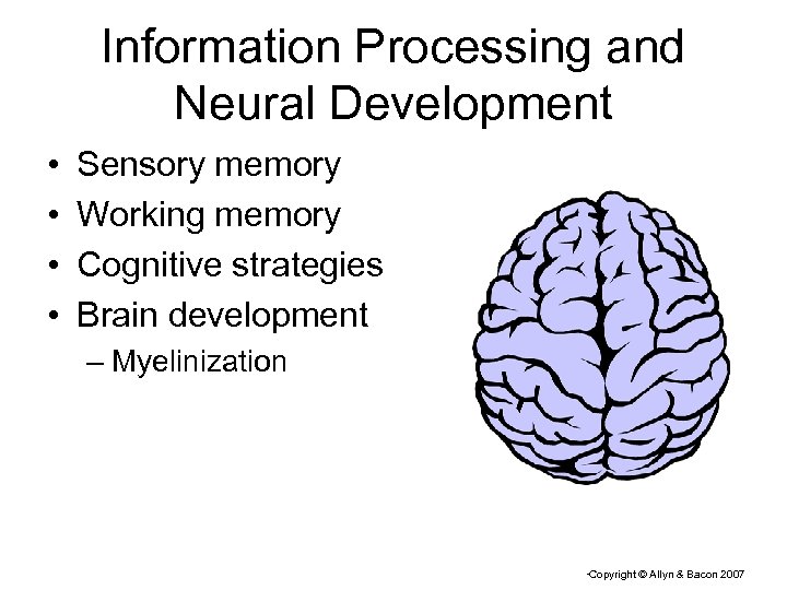 Information Processing and Neural Development • • Sensory memory Working memory Cognitive strategies Brain