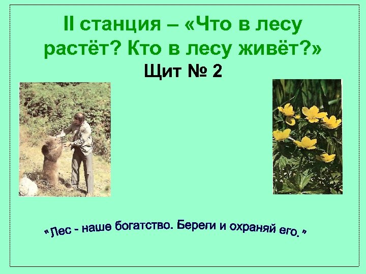 II станция – «Что в лесу растёт? Кто в лесу живёт? » Щит №