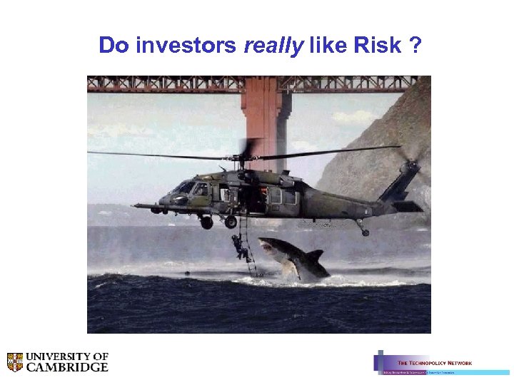 Do investors really like Risk ? 